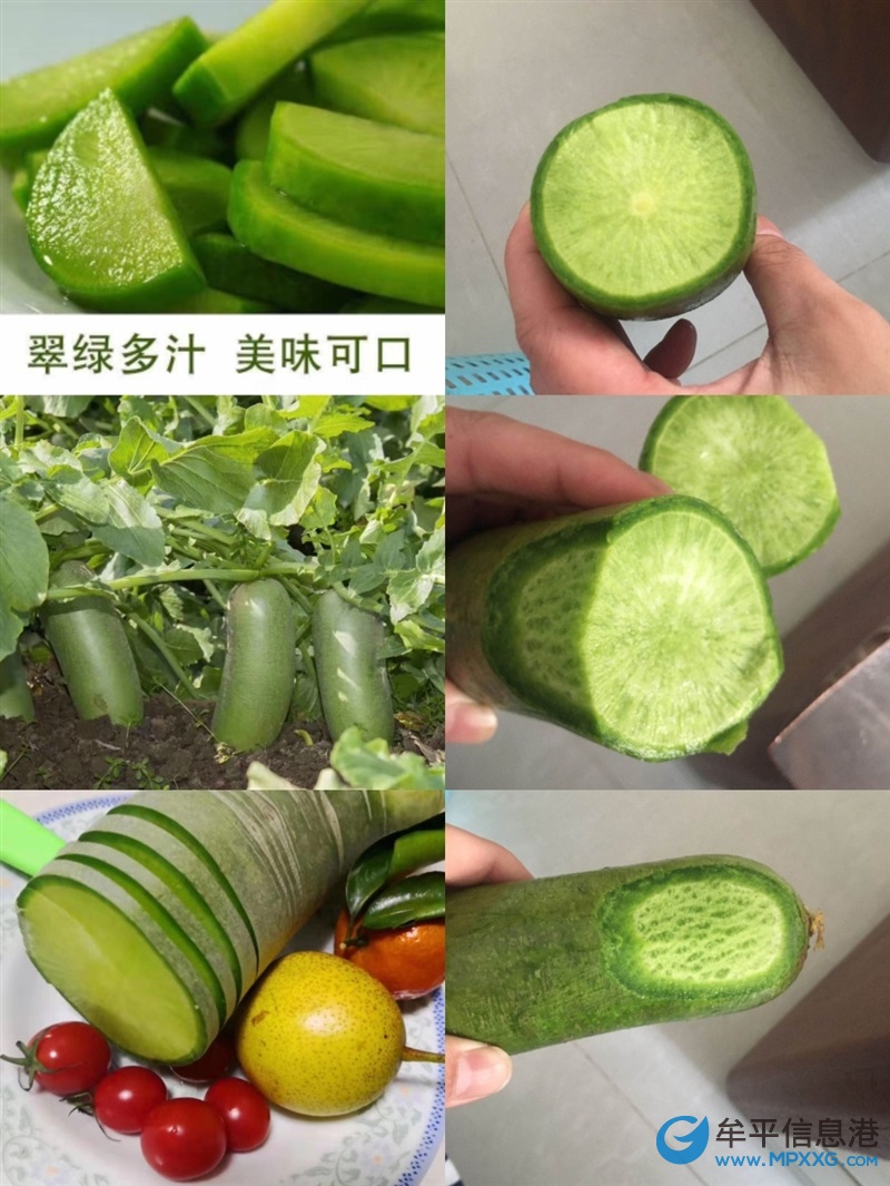 水果蘿卜 2元一斤 