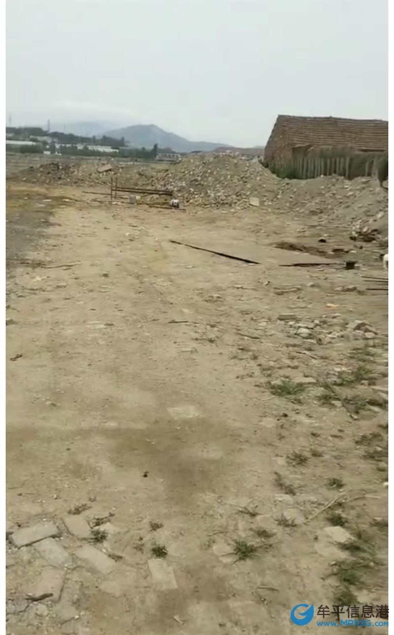 牟平場(chǎng)地出租