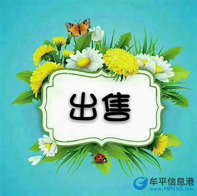 出售東泰百合公館電梯房，毛坯，南向