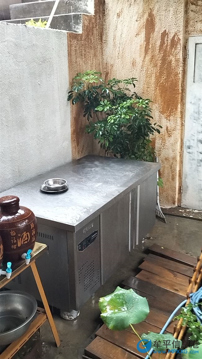 冷凍柜